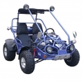 Beach Buggy Off Road gå Kart 