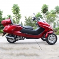 300cc 3 hjul Gas Scooter-Trike 