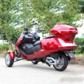 300cc 3 hjul Gas Scooter-Trike 