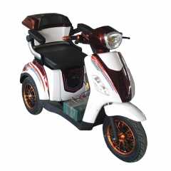 Mobilty Scooter för funktionshindrade 500w