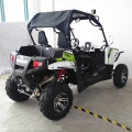 UTV sida vid sida Off Road 300 