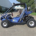 Beach Buggy Off Road gå Kart 