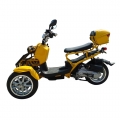 50cc 3 hjul Gas Scooter Trike Motorycycle 