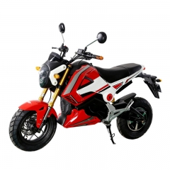 Vuxna Electriec motorcykel 1000W